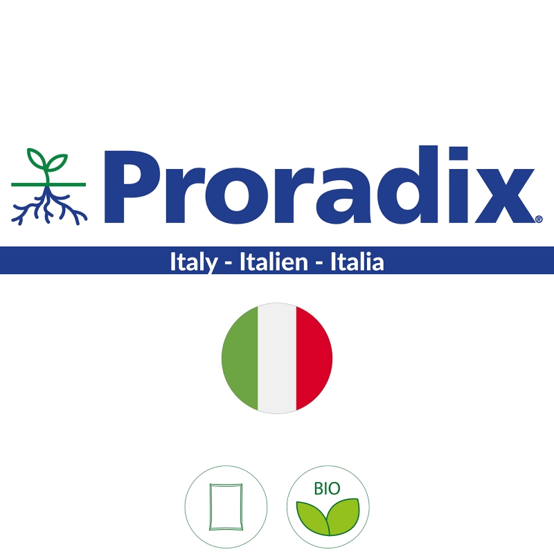 Proradix Italy