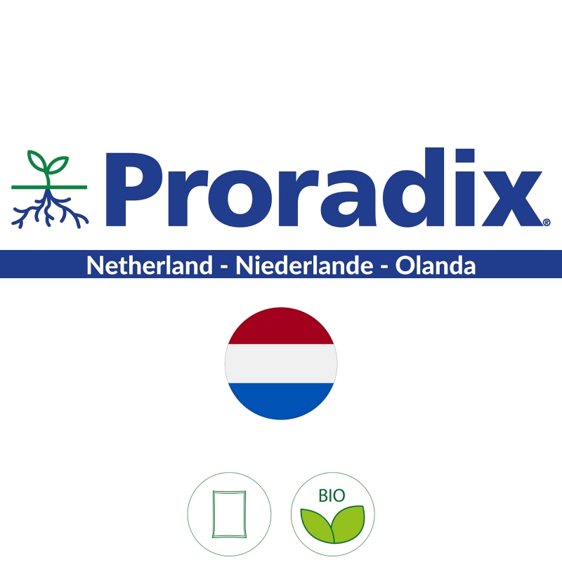 Proradix Netherland