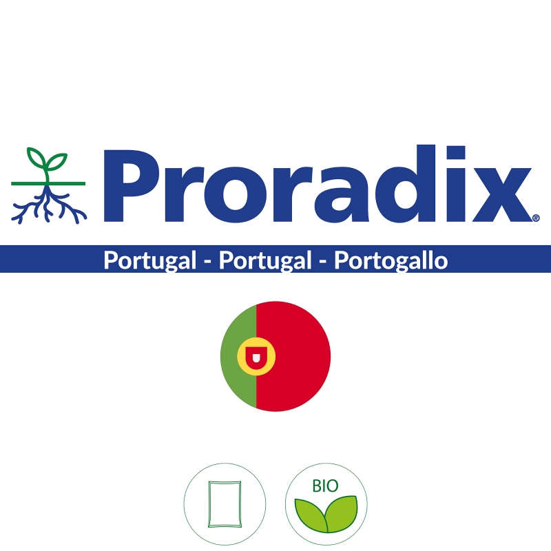 Proradix Portugal