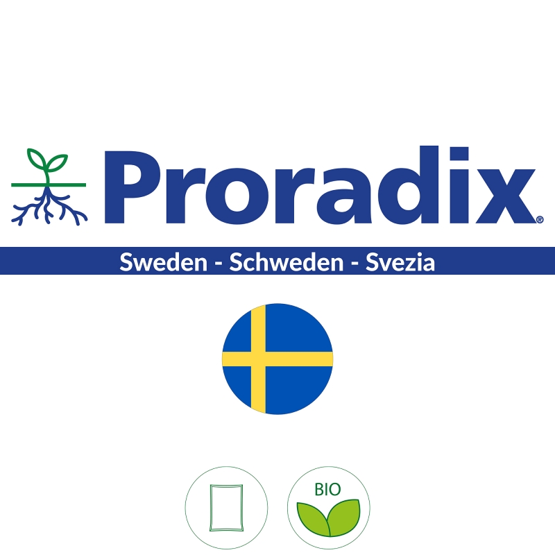 Proradix Sweden