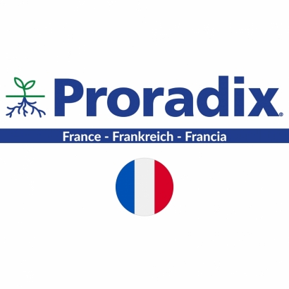 Proradix France