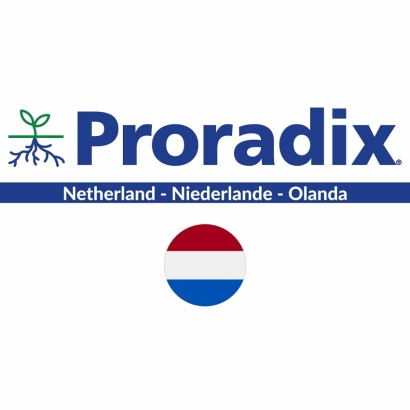 Proradix Netherland